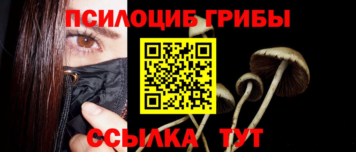 Псилоцибиновые грибы мицелий  Галлюциногенные грибы мицелий  Вход с VPN  Похвистнево 